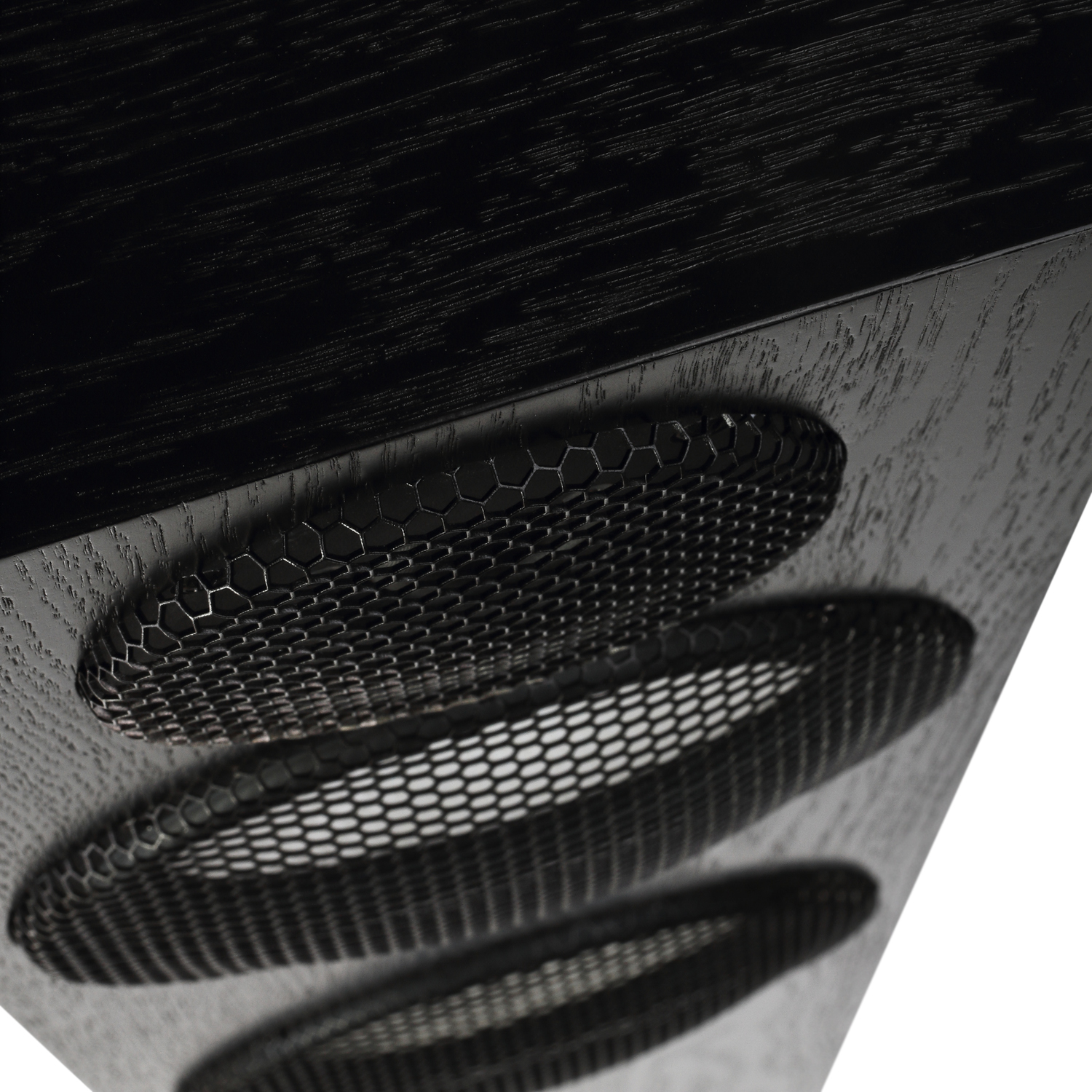 Pylon Audio Ruby 25 mkll - cecha 1